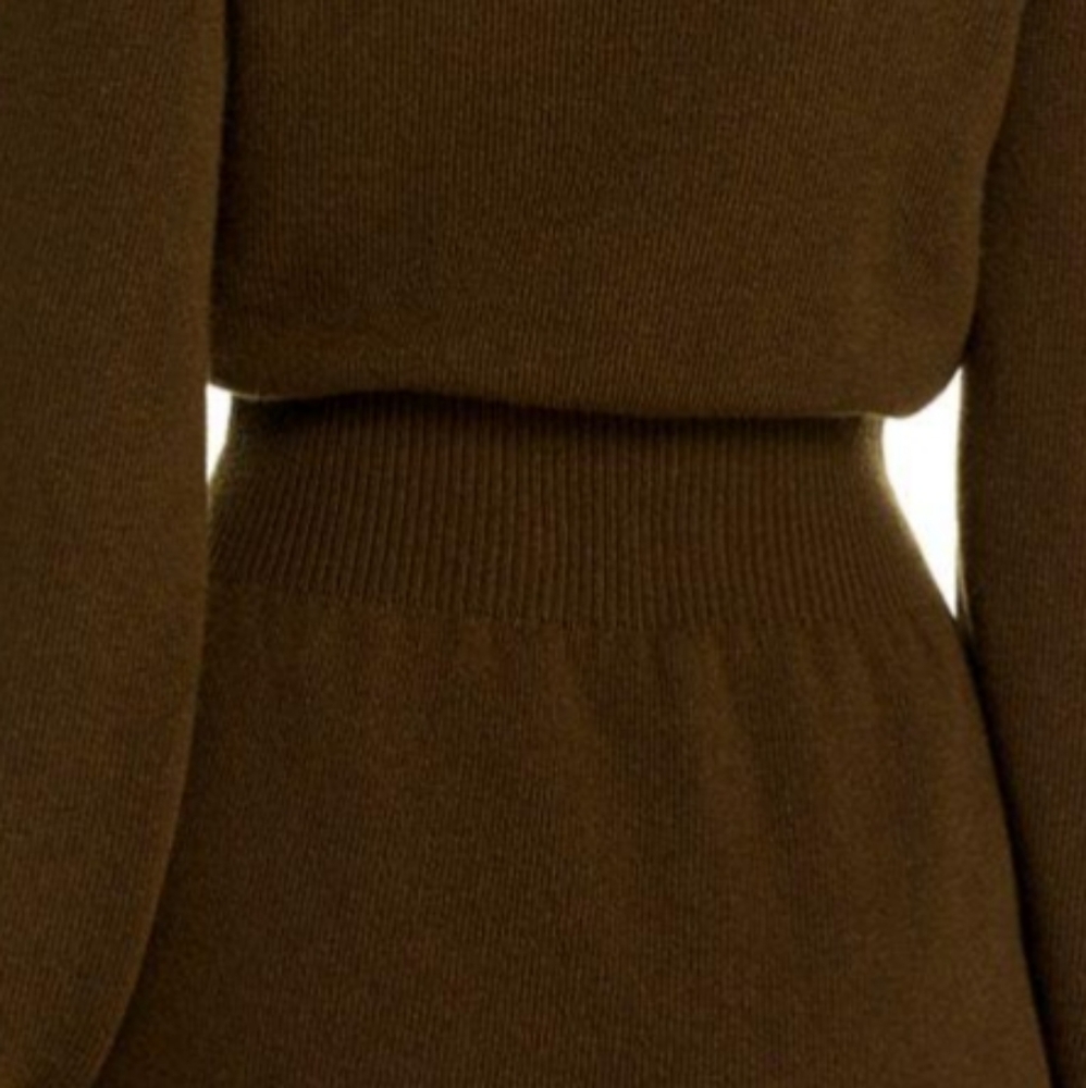 Theory Wool and Cashmere Blend Sweater Dress - Picture 6 of 6